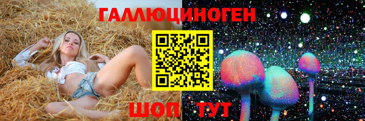 Галлюциногенные грибы ЛСД  закладки  Кольчугино  Вход с VPN 