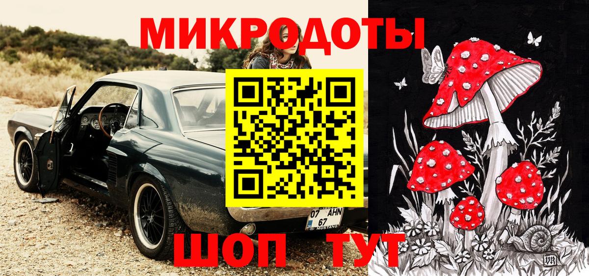 Псилоцибиновые грибы Psilocybe Кольчугино
